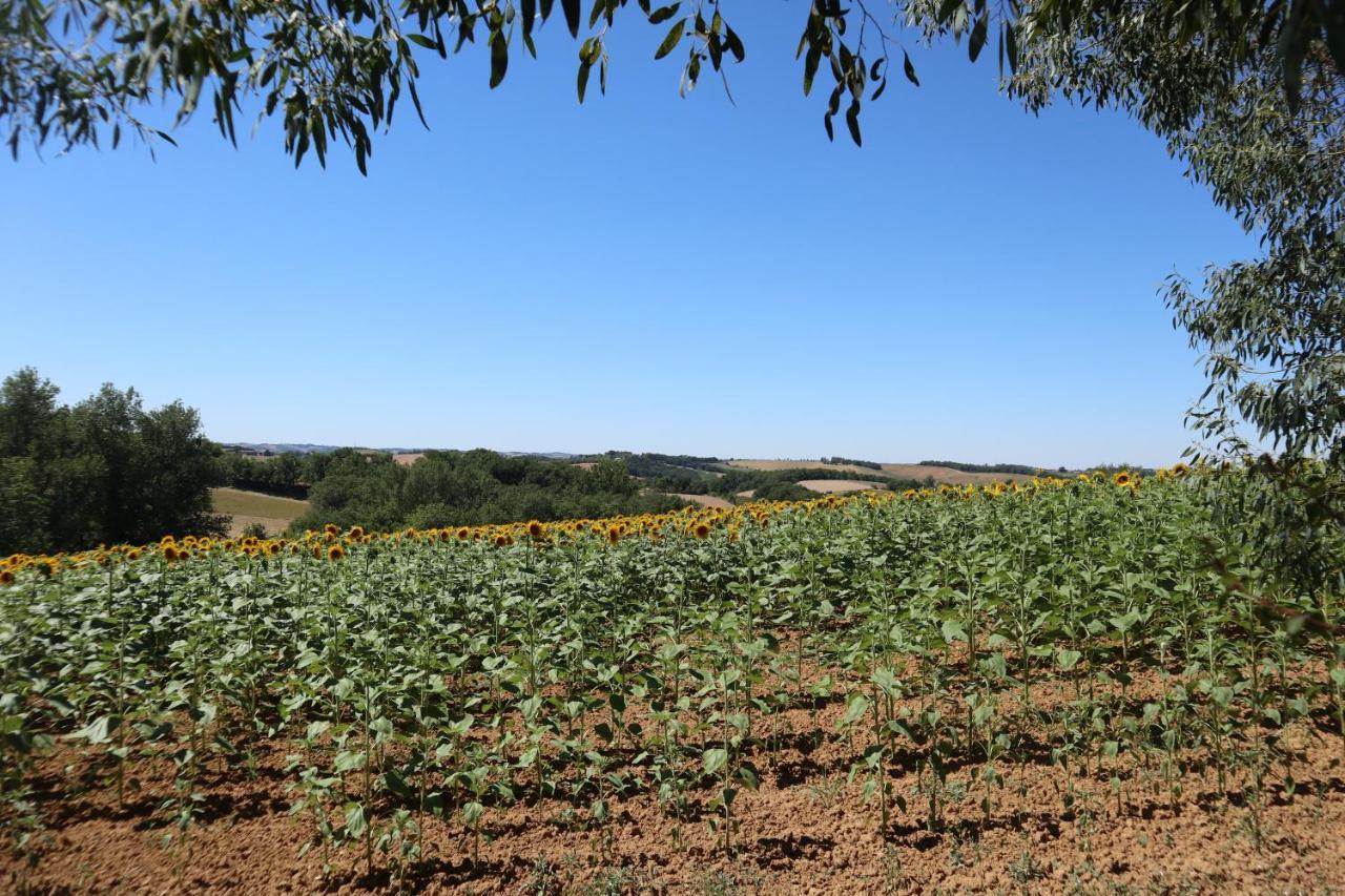 Le Clos Mirelie Gaujac  Luaran gambar